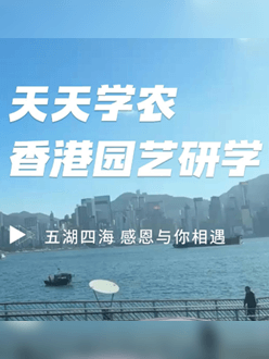 与香港园艺学会联合举办香港园艺研学，专业园境师带队讲解。